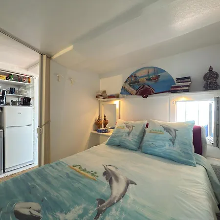 Maison De Pecheur - - Solarium * Le Pradet